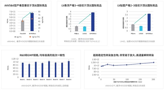 BrPERfect? 病毒 DNA 轉(zhuǎn)染試劑